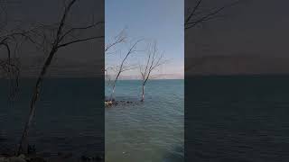 Kinneret Lake На озере Кинерет kinneret israel travel landscape nature кинерет [upl. by Lias]