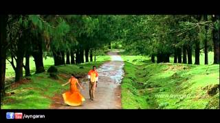 Kaatru Veesum  Video Song  Neram Tamil  Nivin Pauly  Nazriya Nazim  Alphonse Puthren [upl. by Hterag]