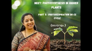 NEET Photosynthesis In Higher Plants Part5Malayalam PhotorespirationC2 cyclePCO cycle [upl. by Islaen]