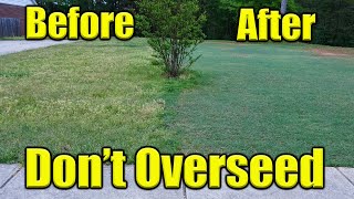 Overseeding Bermuda Lawn [upl. by Susann]