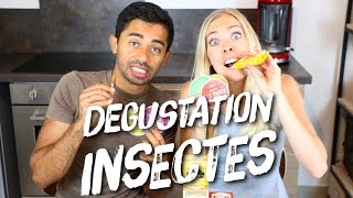 DEGUSTATION INSECTES ET RECETTE MUG CAKE CHOCOLAT ET VERS MIAM [upl. by Goar738]