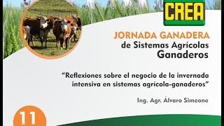 Reflexiones sobre el negocio de la invernada intensiva en sistemas agrícolaganaderos [upl. by Enert]