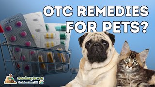 7 OTC Human Medications Safe and Effective for Dogs [upl. by Watanabe367]