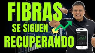 Desempeño de las FIBRAS 2024  Se Siguen Recuperando de la Caída de ENERO [upl. by Wilkie]