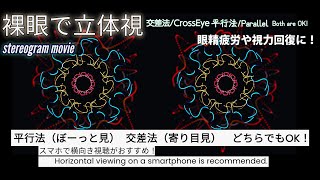 【３D立体視動画】秋へContinue into autumn眼精疲労回復や視力の回復にも【stereogram movie】 [upl. by Cyndi]