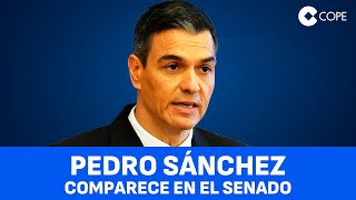 Pedro Sánchez responde sobre el caso Koldo en el Senado [upl. by Ydeh]