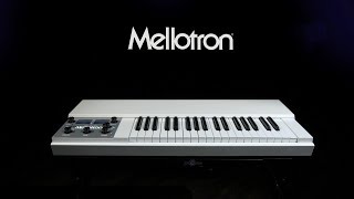 Mellotron M4000DMini White  Gear4music demo [upl. by Elhsa881]