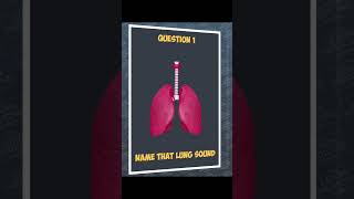 Name that lung sound medicaleducation respiratorymedicine lungsounds auscultation medical quiz [upl. by Giralda]