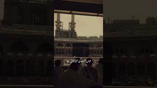 mohabbat allah urdu aestheticstatus ytshorts [upl. by Ford219]