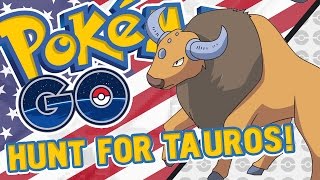 Pokemon GO  Hunting For Tauros In California [upl. by Anoved829]