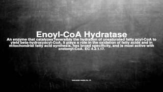 Medical vocabulary What does EnoylCoA Hydratase mean [upl. by Daloris932]