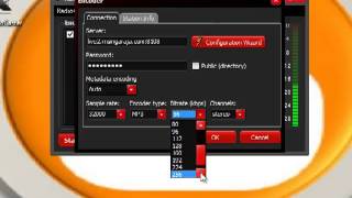 Video Tutorial RadioCaster 14 [upl. by Onitsuaf]