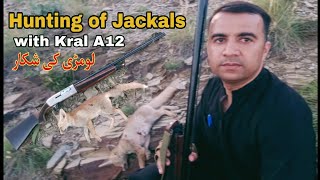 Jackals Hunting with Kral A12  jackal hunting with  22lr  jackal hunting in Pakistan  jackal [upl. by Meerek]