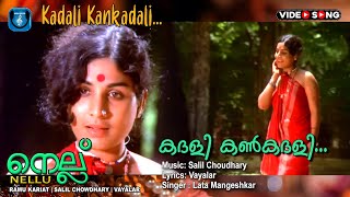 Kadhali kankadhali  Malayalam Super hit Video song  Nellu  Vayalar  Salilchaudhari [upl. by Ahsennek]