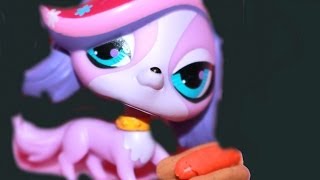 Littlest Pet Shop MEET Zoe Trent LPS PlayDoh Toy Review [upl. by Eltsyrc]