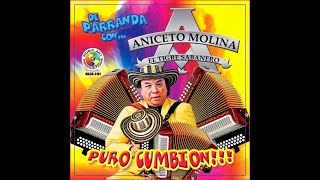 La timida Señorita Karaoke Aniceto Molina [upl. by Ynnig]