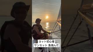 ヨット初心者 サンセット 魚飛んだ ヨット初心者 サンセットクルーズ ヨット ディンギー シーホッパー [upl. by Frannie302]