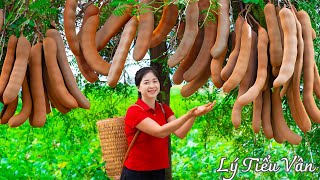 How to harvest Tamarind amp Goes to the Market sell  Harvesting and Cooking  Daily Life [upl. by Rochkind]