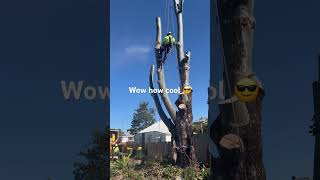 arborist arboriculture work workout australia qld green climber tree life fun happy [upl. by Llertram]