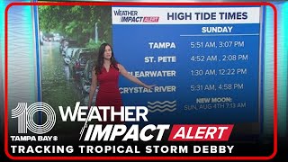 Countybycounty impacts of Tropical Storm Debby across Tampa Bay [upl. by Estey68]