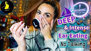 ASMR Deep amp Intense Ear Eating No Talking [upl. by Rhiamon239]