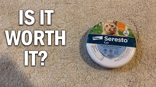 Seresto Cat Collar Review  Is It Worth it [upl. by Halet]