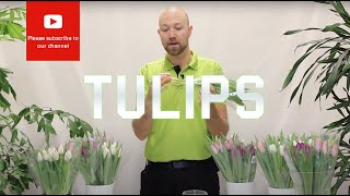 Tips and tricks Tulips [upl. by Arimas]