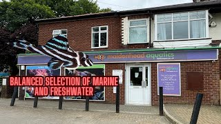 ADVANCED FISHKEEPERS DREAM  Maidenhead Aquatics Preston Shop Tour [upl. by Caiaphas]