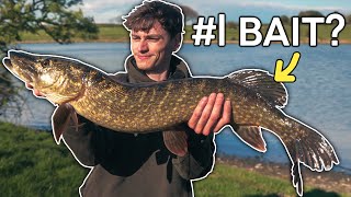 Catching Big Pike on Deadbaits Overnight Syndicate Session [upl. by Alegnasor]