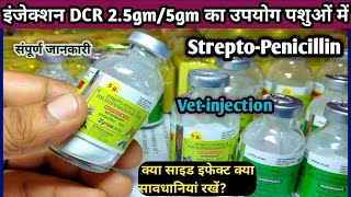 Vetinjection DCRDicrysticinDSStreptoPenicillin Antibiotic ka upyog konsi Disease mein kare [upl. by Esli214]