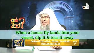 Hadith about house fly when it falls into your vessel dip it and toss it away  Assim Al Hakeem [upl. by Paehpos601]