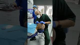 All on 4 restoration maxillary rehabilitation smilerehabilitation [upl. by Van]