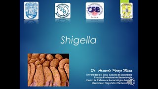 Tema 9 Shigella [upl. by Averyl]