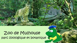 Zoo de Mulhouse parc zoologique et botanique 2023 [upl. by Howlend478]