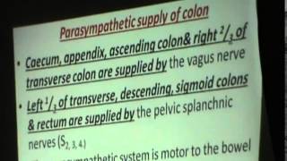 15 DrSherif Zaky 832015  Sigmoid Colon  Nerve  Limphatic of Colon [upl. by Adnawt398]