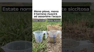 Più il terreno è secco meno acqua assorbe un esperimento 👩‍🔬 Shorts [upl. by Ralleigh]