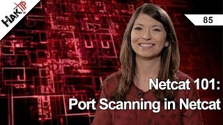 Netcat 101 Port Scanning in Netcat Haktip 85 [upl. by Ocihc]