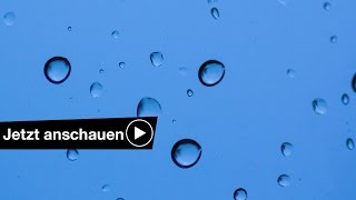 📷 Bei Regen fotografieren 5 Tipps ☔️ Benjamin Jaworskyj fotografieren lernen [upl. by Mozes]