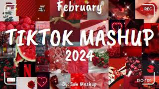 Tiktok Mashup February 🎉 2024 🎉 Not Clean [upl. by Juan336]