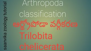 Arthropoda classification NEET EAMCET Bilingual  TeluguEnglish [upl. by Anyela]