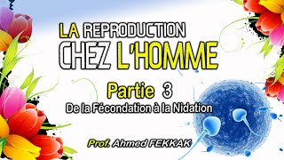 LA REPRODUCTION CHEZ LHOMME  PARTIE 3  De la Fécondation à la Nidation  Prof Ahmed FEKKAK [upl. by Ellener]