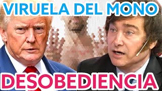 📛 VIRUELA DEL MONO MPOX COMO INSTRUMENTO DE CONTROL 📛 MILEI Y TRUMP ANUNCIAN DESOBEDIENCIA A LA OMS [upl. by Latoniah]