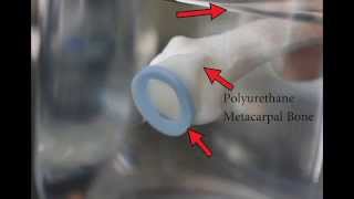 Potential Model to Explain Refractory PeriodParaphysiological Space Associated with Manipulation [upl. by Anifesoj812]