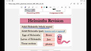 Practical parasitology Part 1 Adult helminths [upl. by Hinkel]