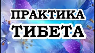 ОШО — Практика Тибета [upl. by Wainwright142]