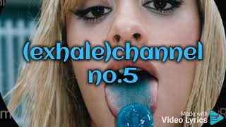 Camilla cabellochannel no5lyrics video [upl. by Bashemath382]