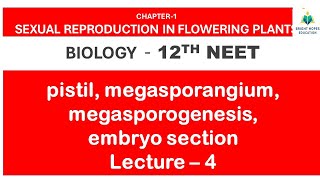 BIOLOGY CLASS12 CH1 L4 SEXUAL REPRODUCTION IN FLOWERING PLANTS PISTIL MEGASPORANGIUM [upl. by Akeemaj411]