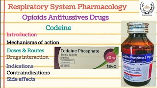 Codeine  Opioid Antitussives  Action Uses Doses Contraindications Side Effects [upl. by Latrice]