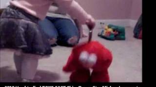 iTot Tickle Me Elmo Attack MMA UFC [upl. by Baerman894]