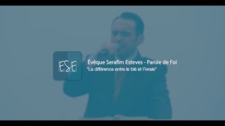 Parole de Foi  La différence entre le blé et livraie  Évêque Serafim Esteves [upl. by Darsey988]